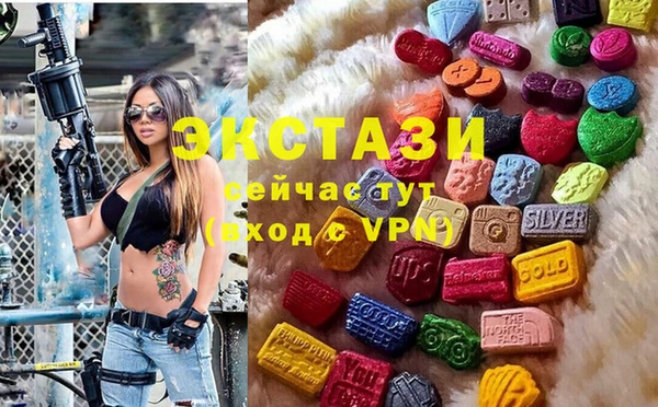индика Покачи