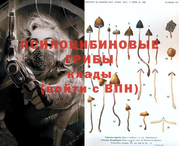 MESCALINE Покров