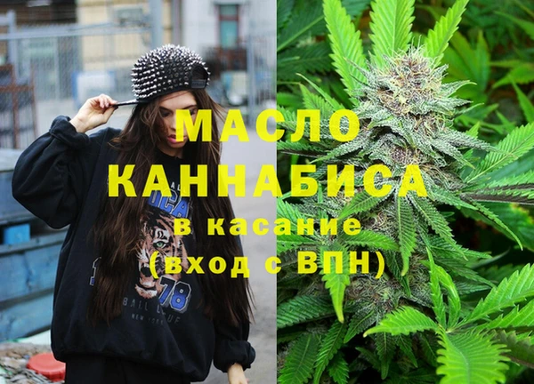 гашик Туринск