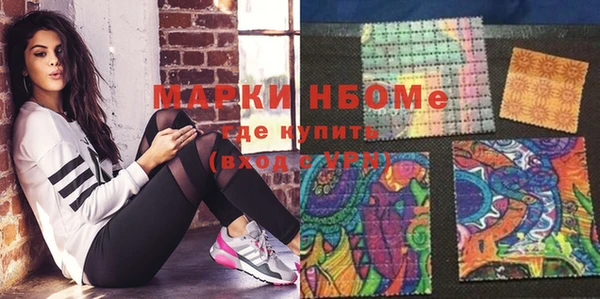 индика Покачи
