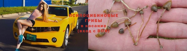мескалин Приозерск