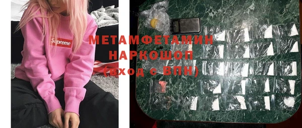 индика Покачи