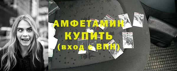 индика Покачи