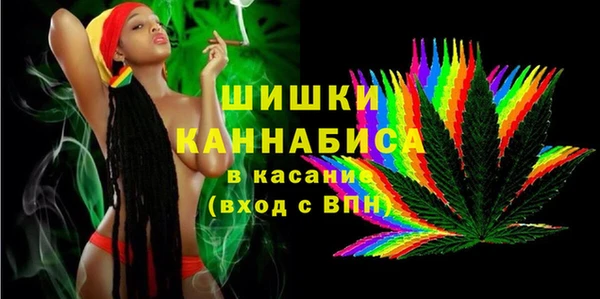 индика Покачи