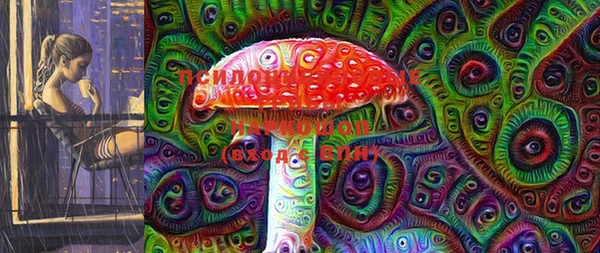 индика Покачи