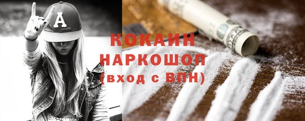 индика Покачи
