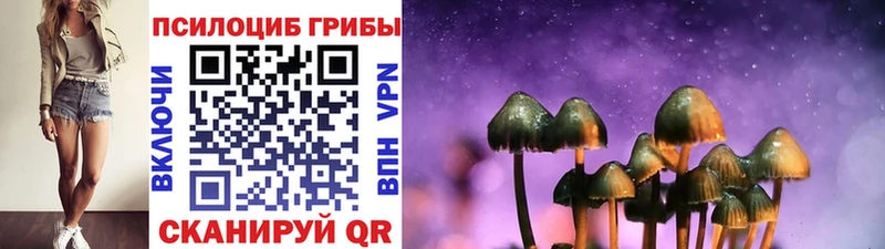 Псилоцибиновые грибы MAGIC MUSHROOMS  Абаза 