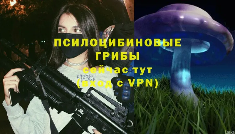 Галлюциногенные грибы Psilocybine cubensis Абаза